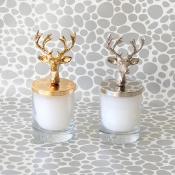 Shot Boy Bardak Mum Geyik Tepeli