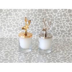 Shot Boy Bardak Mum Geyik Tepeli