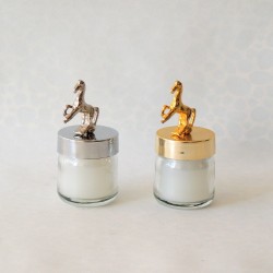 40 cc Kavanoz Mum At Tepeli