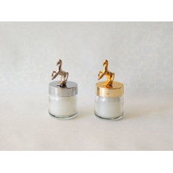 40 cc Kavanoz Mum At Tepeli