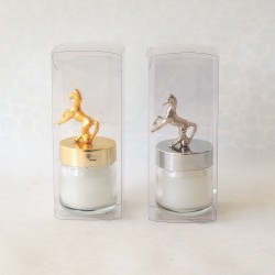 40 cc Kavanoz Mum At Tepeli