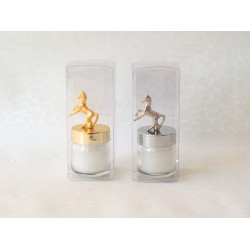 40 cc Kavanoz Mum At Tepeli