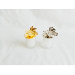 Shot Boy Bardak Mum  Çınar Yaprağı